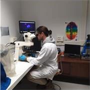 Insegnante di biologia e scienze in generale disponible per lezioni, ripetizione, preparazione test di ingresso e progetti